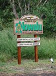 Camp Olowalu - First Camping Destination
